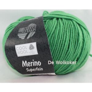 merino 504