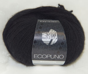 Ecopuno 016