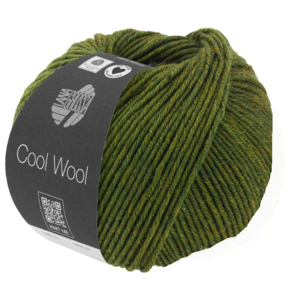Cool Wool 1409 Groen gemêleerd