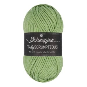 Scheepjes Truly Scrumptious 318 Pistachio Bun. Cake