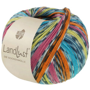 Landlust Die Sockenwolle 825