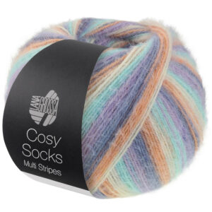 Cosy Socks Multi Stripes 153