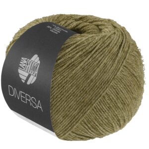 Diversa 33 Berkengroen